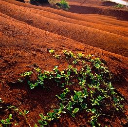 刚刚斩获全球热销榜第五！策略游戏大佬又携新品《乱世终结战》回卷国内SLG赛道！